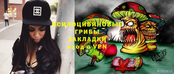 кокс Михайлов