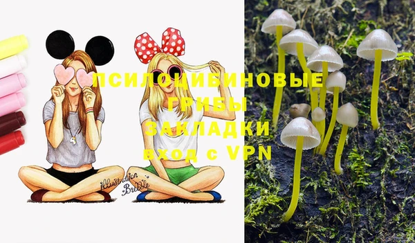 spice Михайловск
