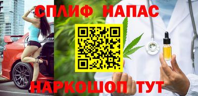МДПВ Кингисепп