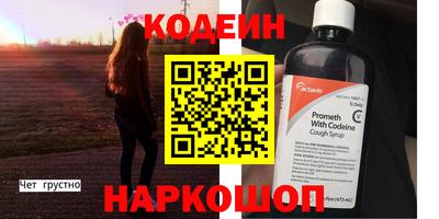 МДПВ Кингисепп