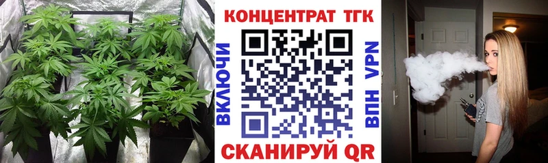 дарнет шоп  Тулун  Дистиллят ТГК THC oil 
