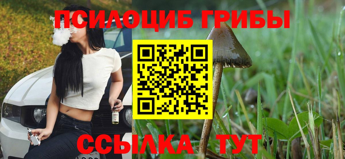 Псилоцибиновые грибы мухоморы Тулун