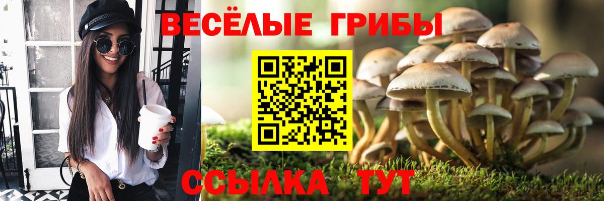 Галлюциногенные грибы прущие грибы  Вход с VPN  магазин  наркотиков  Тулун  Галлюциногенные грибы MAGIC MUSHROOMS 